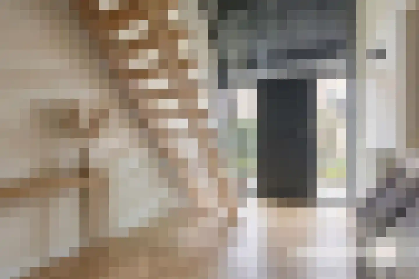 Oude Polderstraat 48 Hulst thumbnail 15