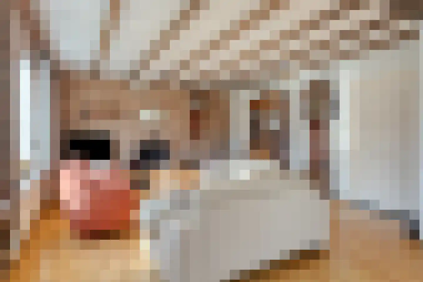 Oude Polderstraat 48 Hulst thumbnail 18