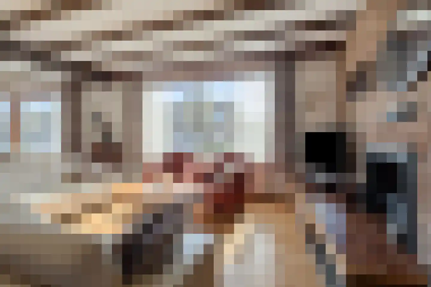 Oude Polderstraat 48 Hulst thumbnail 22