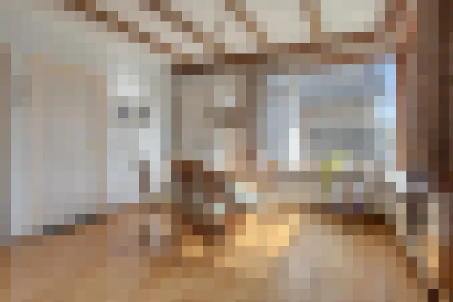 Oude Polderstraat 48 Hulst thumbnail 24