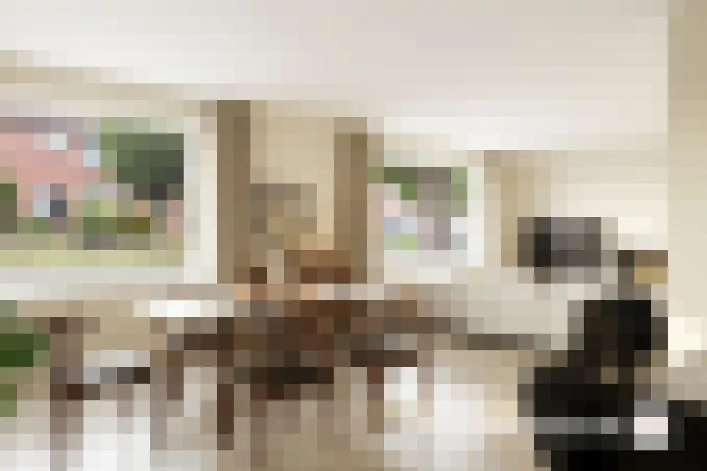 Oude Polderstraat 48 Hulst thumbnail 26