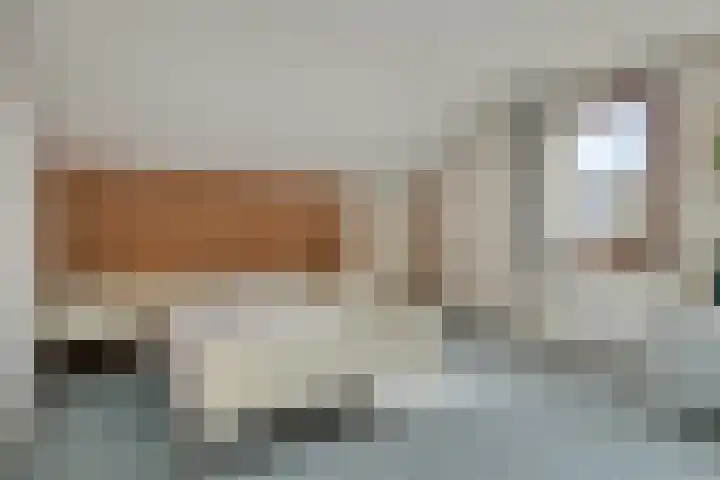 Oude Polderstraat 48 Hulst thumbnail 36