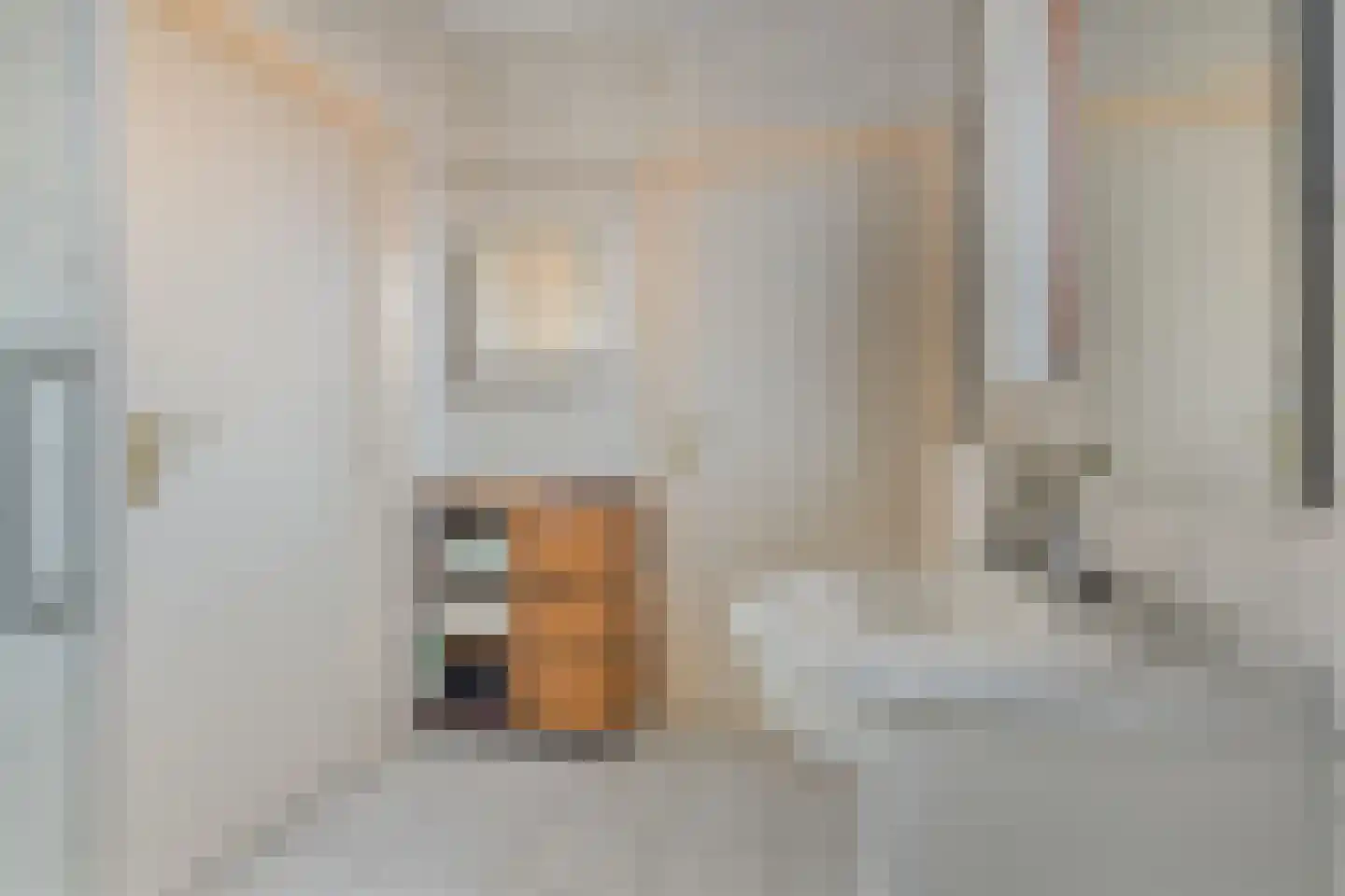 Oude Polderstraat 48 Hulst thumbnail 38