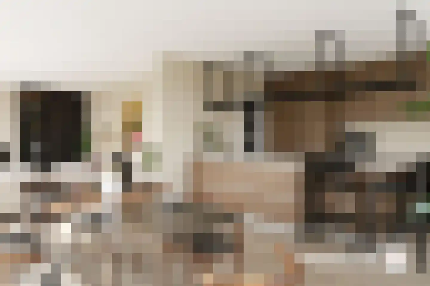 Oude Polderstraat 48 Hulst thumbnail 4