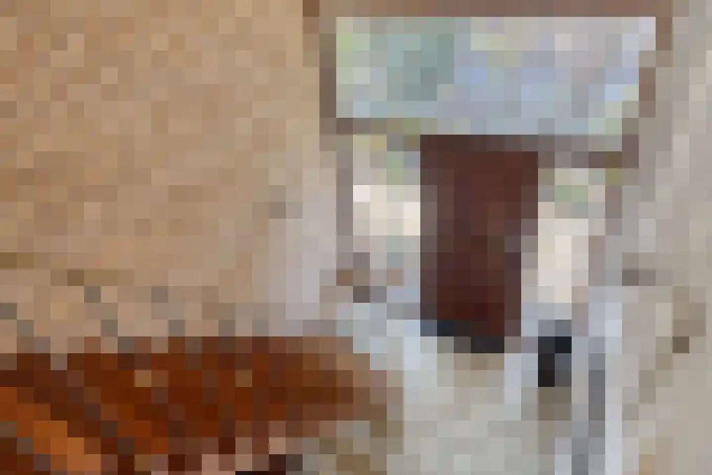 Oude Polderstraat 48 Hulst thumbnail 40