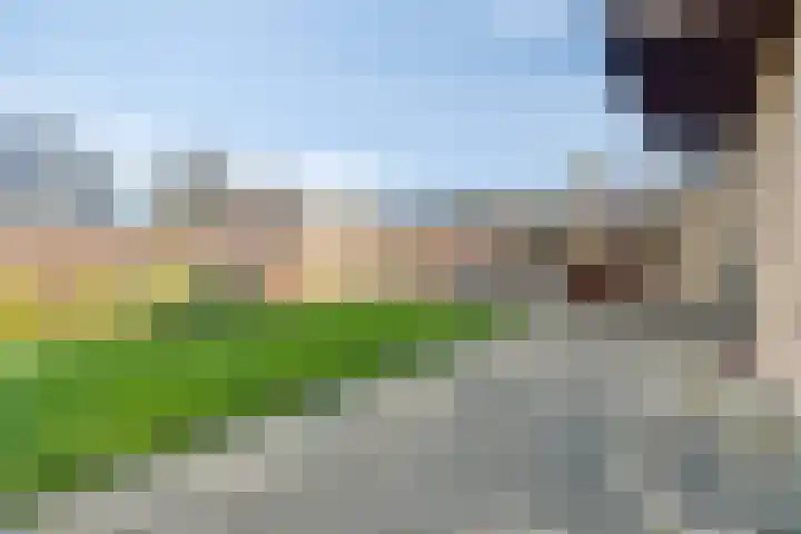 Oude Polderstraat 48 Hulst thumbnail 43