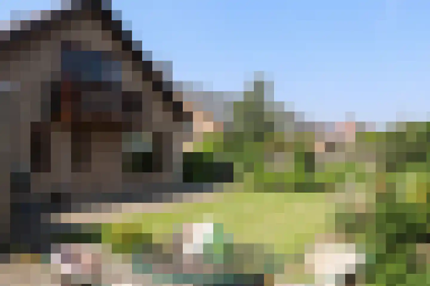 Oude Polderstraat 48 Hulst thumbnail 48