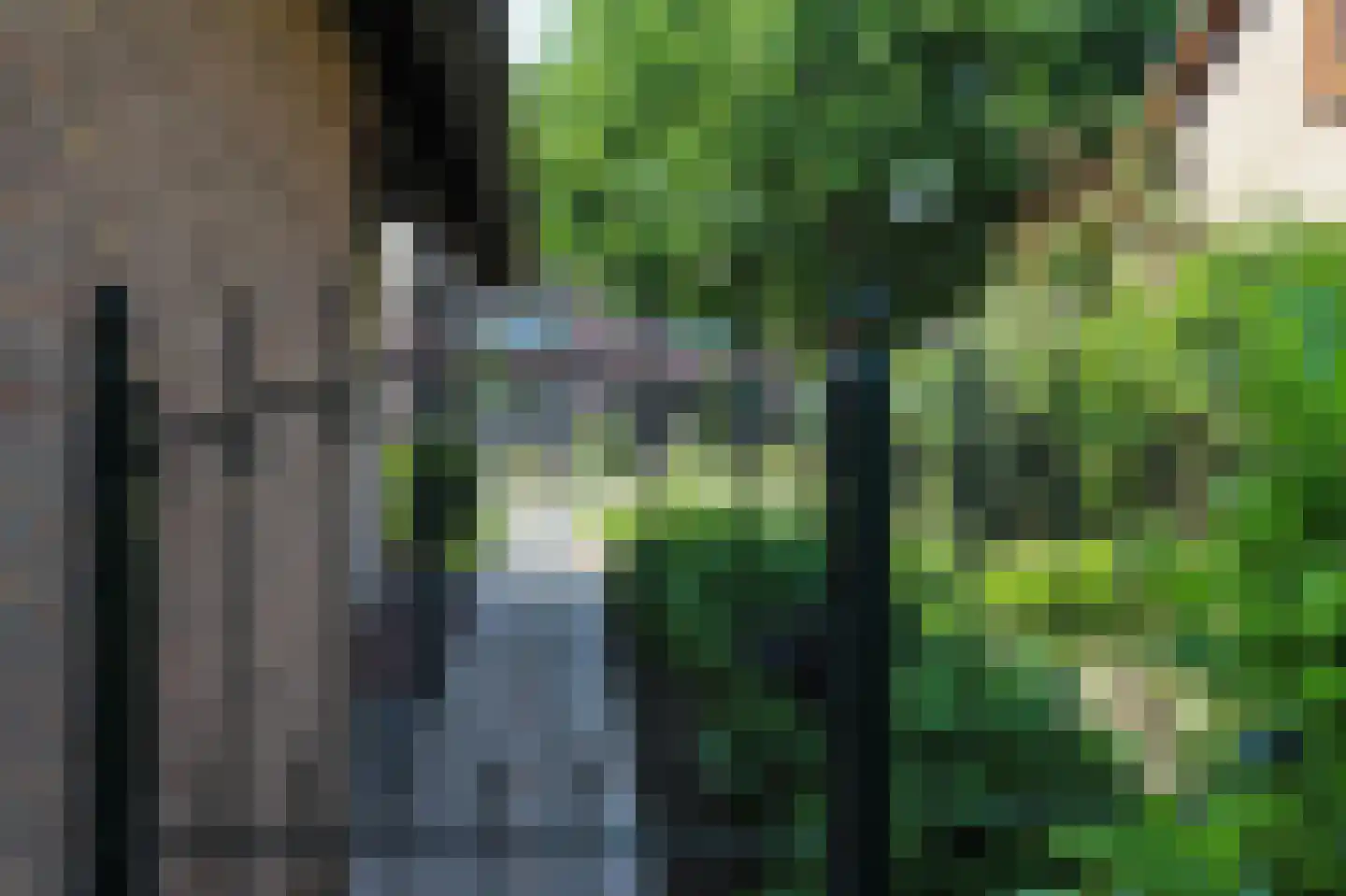 Oude Polderstraat 48 Hulst thumbnail 49