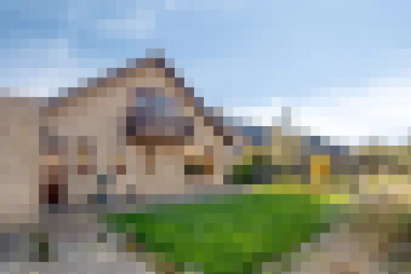 Oude Polderstraat 48 Hulst thumbnail 5