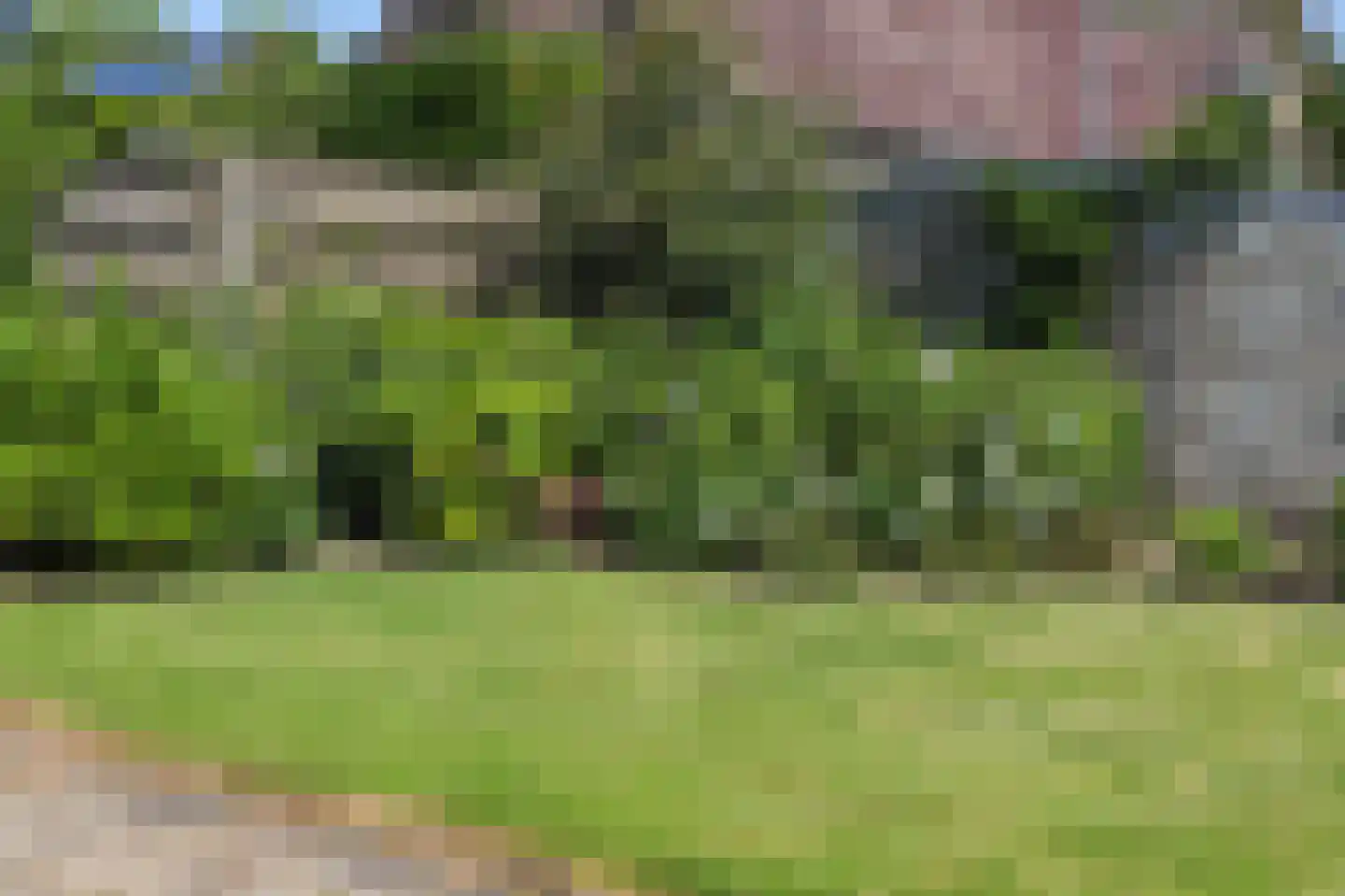 Oude Polderstraat 48 Hulst thumbnail 56