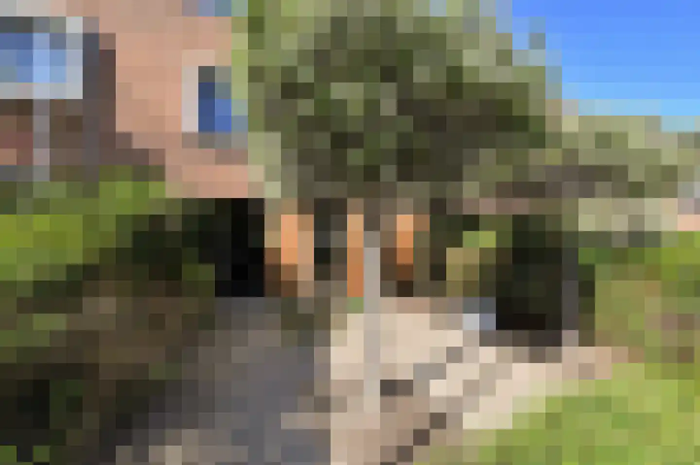 Oude Polderweg 7 Den Haag thumbnail 5