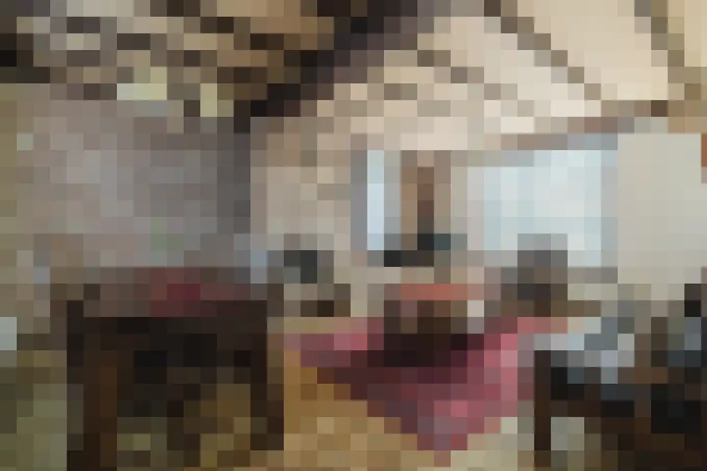 Oude Postbaan 11 Liempde thumbnail 15