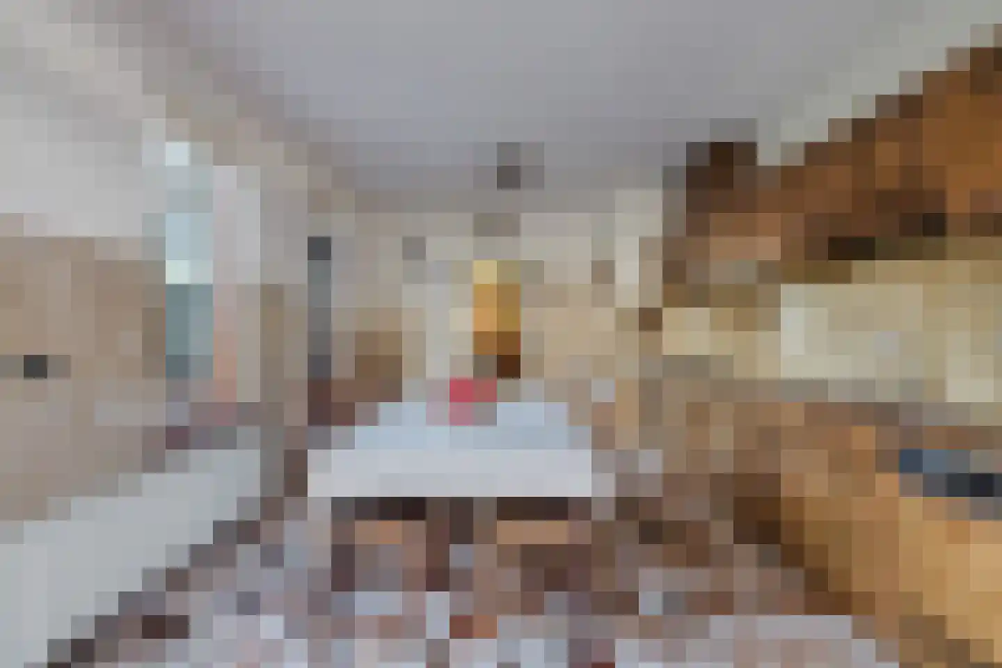 Oude Postbaan 11 Liempde thumbnail 20