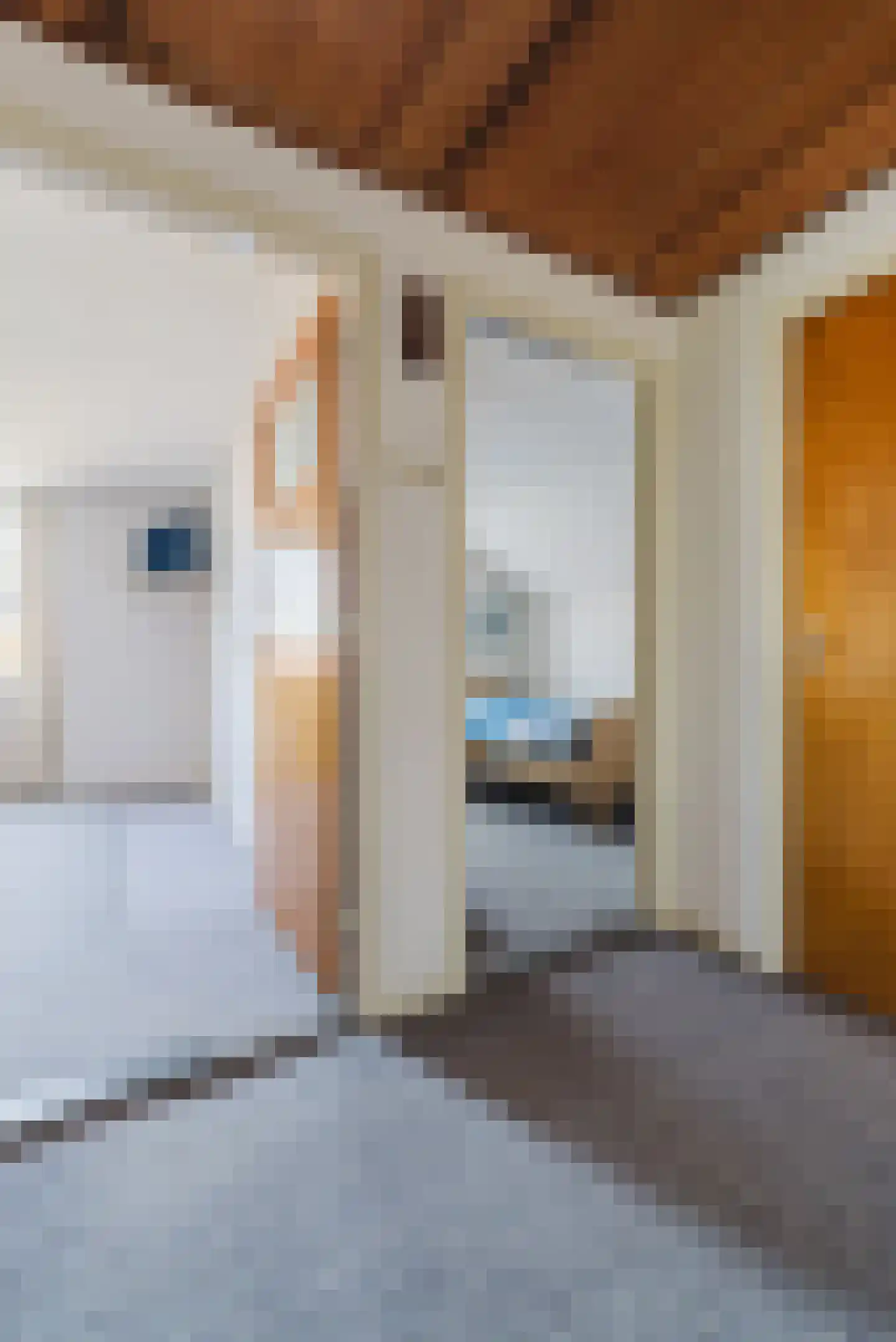 Oude Postbaan 11 Liempde thumbnail 24