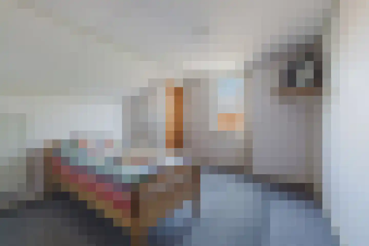 Oude Postbaan 11 Liempde thumbnail 27