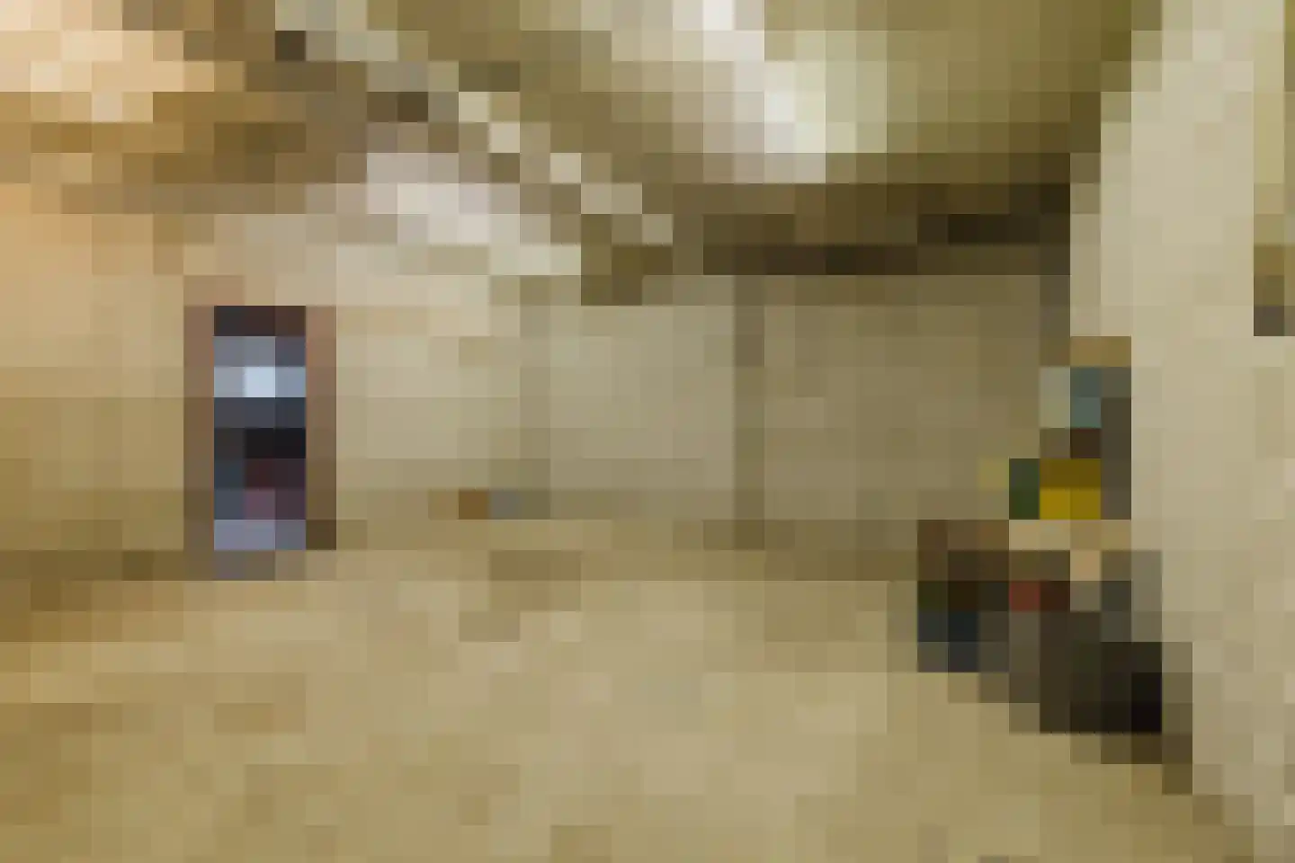 Oude Postbaan 11 Liempde thumbnail 40