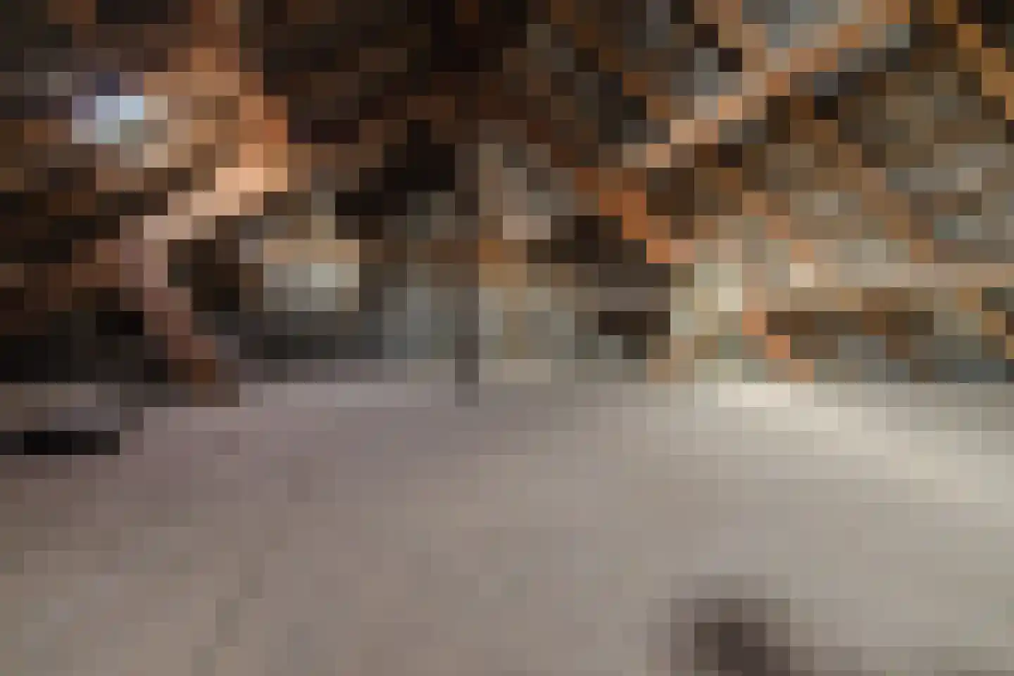 Oude Postbaan 11 Liempde thumbnail 42