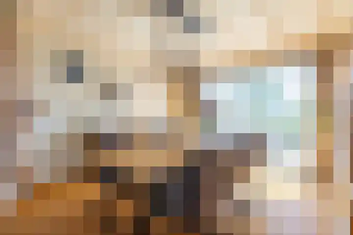 Oude Postbaan 11 Rijsbergen thumbnail 15