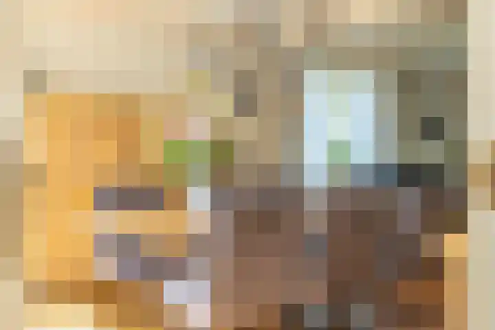 Oude Postbaan 11 Rijsbergen thumbnail 17