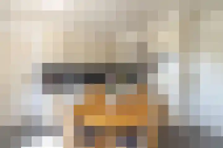 Oude Postbaan 11 Rijsbergen thumbnail 19