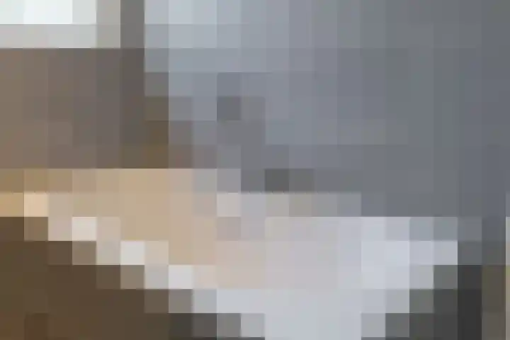 Oude Postbaan 11 Rijsbergen thumbnail 25