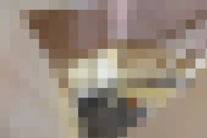 Oude Postbaan 11 Rijsbergen thumbnail 30