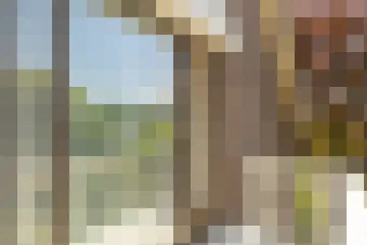 Oude Postbaan 11 Rijsbergen thumbnail 34