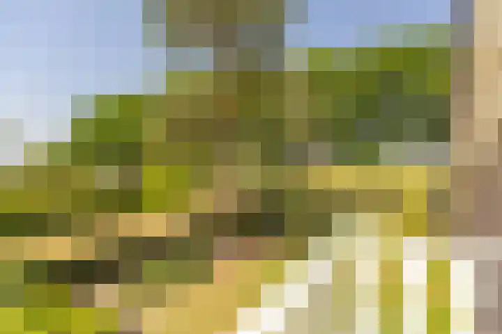 Oude Postbaan 11 Rijsbergen thumbnail 35
