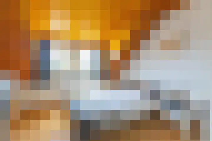 Oude Postbaan 11 Rijsbergen thumbnail 36