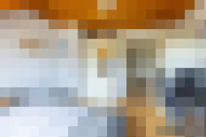 Oude Postbaan 11 Rijsbergen thumbnail 37