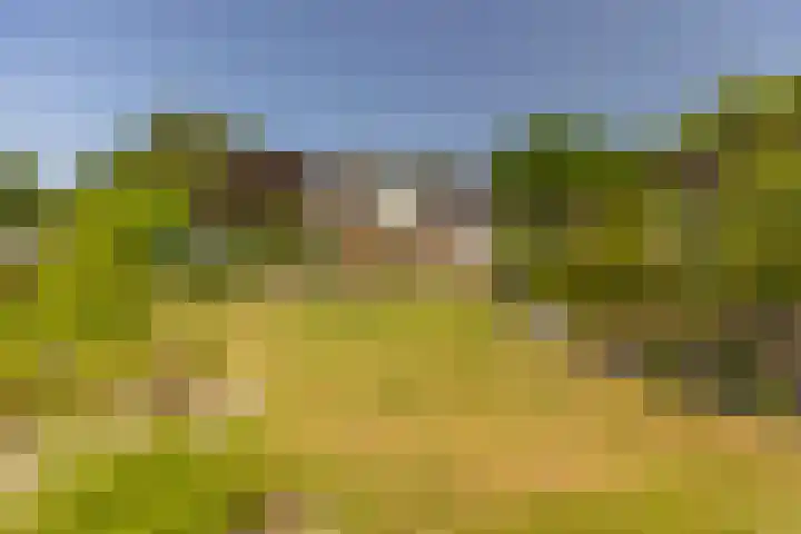 Oude Postbaan 11 Rijsbergen thumbnail 41