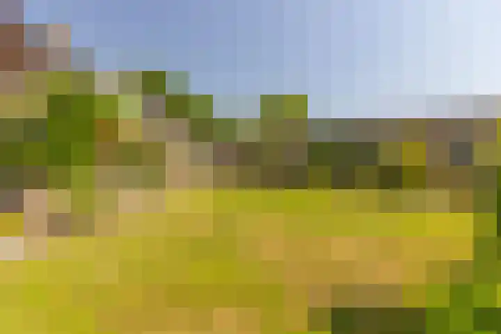 Oude Postbaan 11 Rijsbergen thumbnail 42