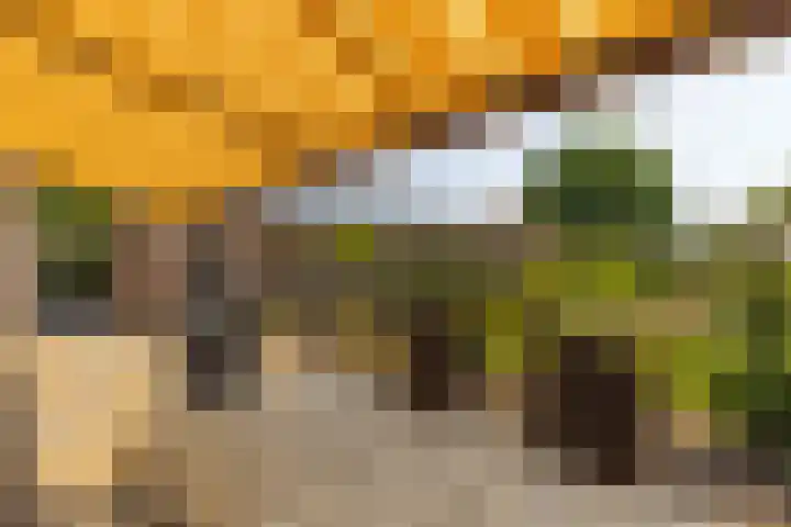 Oude Postbaan 11 Rijsbergen thumbnail 44