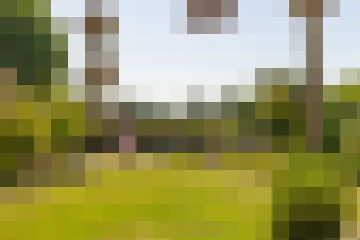 Oude Postbaan 11 Rijsbergen thumbnail 45