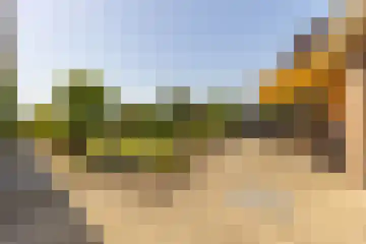 Oude Postbaan 11 Rijsbergen thumbnail 46
