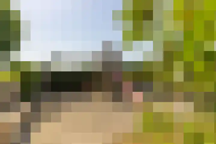 Oude Postbaan 11 Rijsbergen thumbnail 47