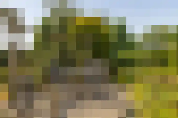Oude Postbaan 11 Rijsbergen thumbnail 48