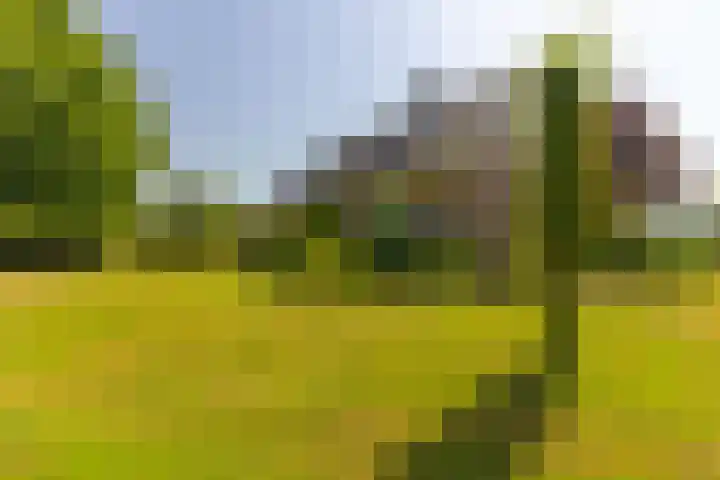 Oude Postbaan 11 Rijsbergen thumbnail 49