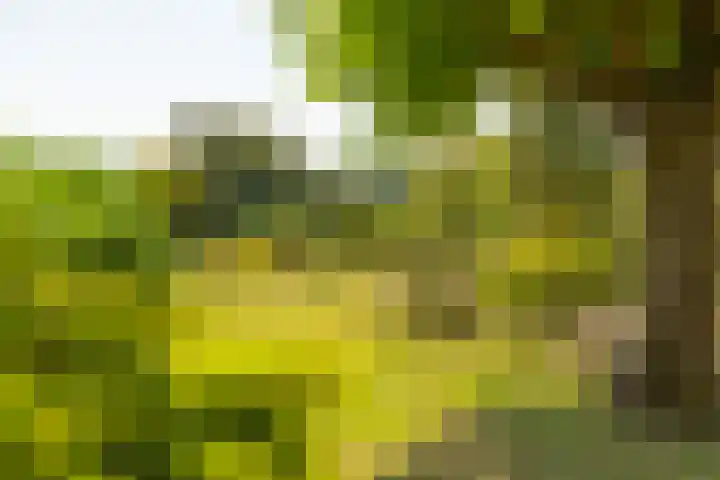 Oude Postbaan 11 Rijsbergen thumbnail 50