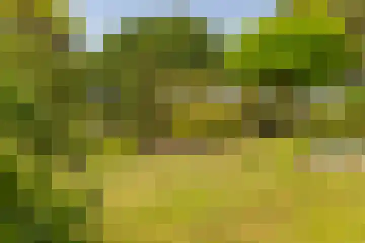 Oude Postbaan 11 Rijsbergen thumbnail 51