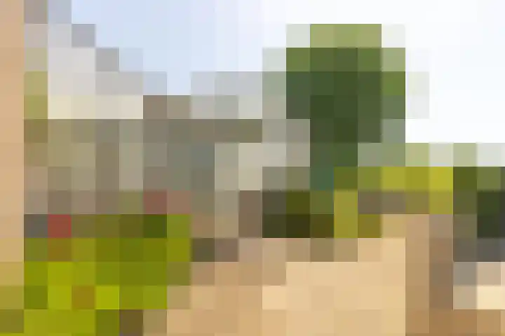 Oude Postbaan 11 Rijsbergen thumbnail 52