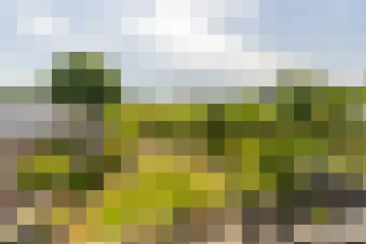 Oude Postbaan 11 Rijsbergen thumbnail 53