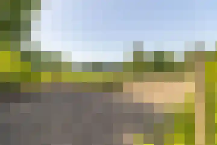Oude Postbaan 11 Rijsbergen thumbnail 54