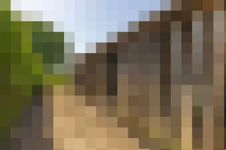 Oude Postbaan 11 Rijsbergen thumbnail 55
