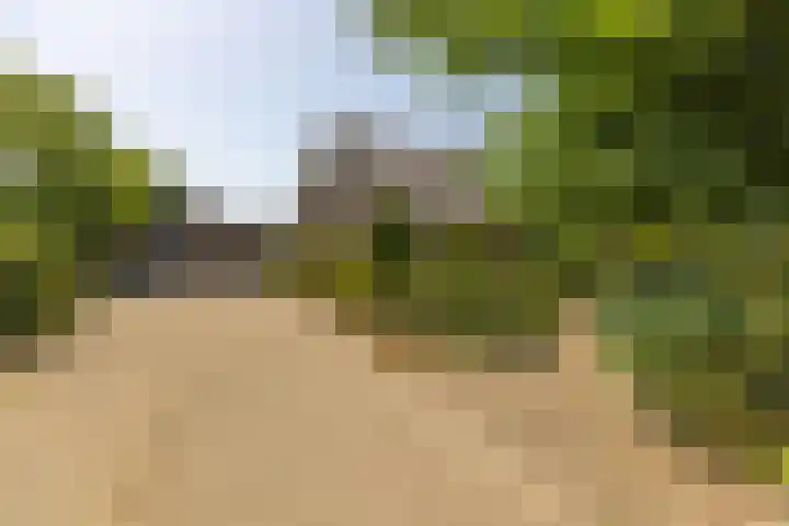 Oude Postbaan 11 Rijsbergen thumbnail 56