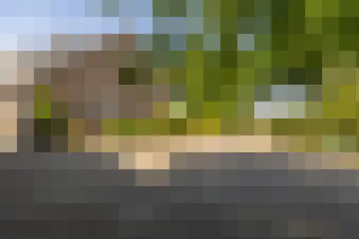 Oude Postbaan 11 Rijsbergen thumbnail 60