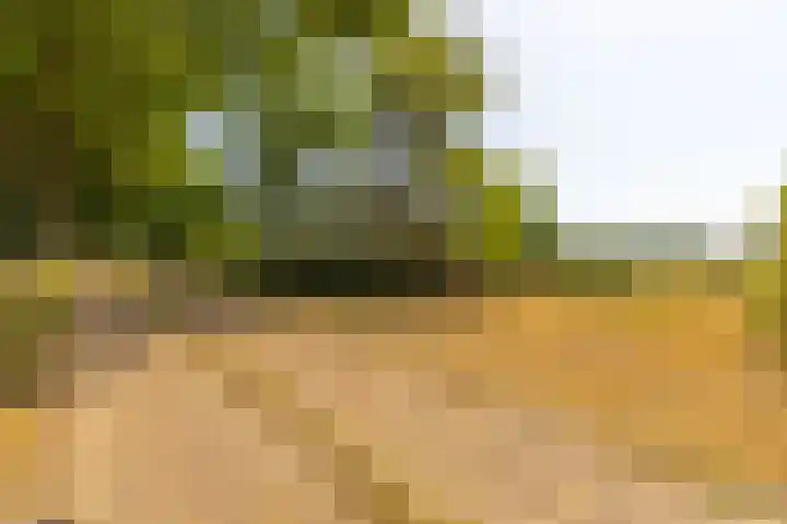 Oude Postbaan 11 Rijsbergen thumbnail 62