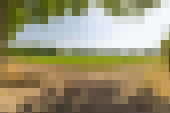 Oude Postbaan 11 Rijsbergen thumbnail 63