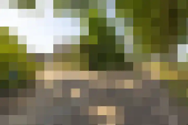 Oude Postbaan 11 Rijsbergen thumbnail 7
