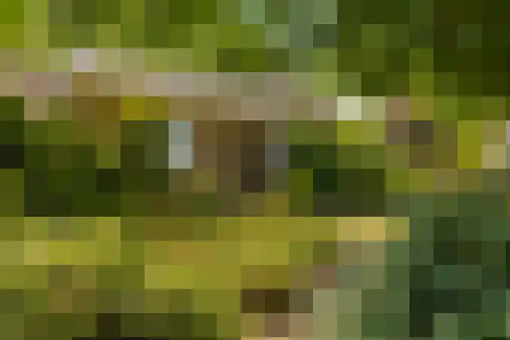 Oude Postbaan 11 Rijsbergen thumbnail 8